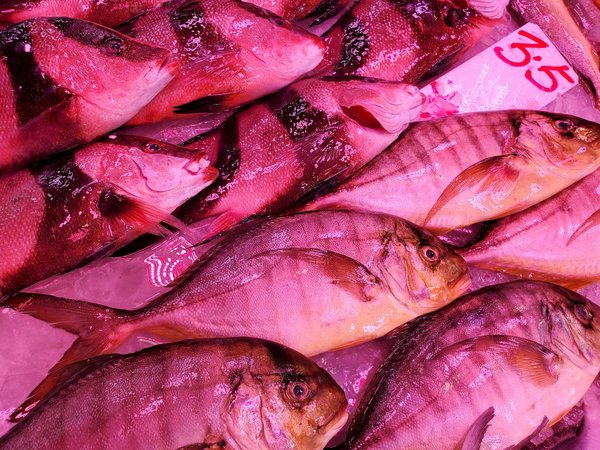 Luminothérapie : 5 bienfaits pour lutter contre le vieillissement